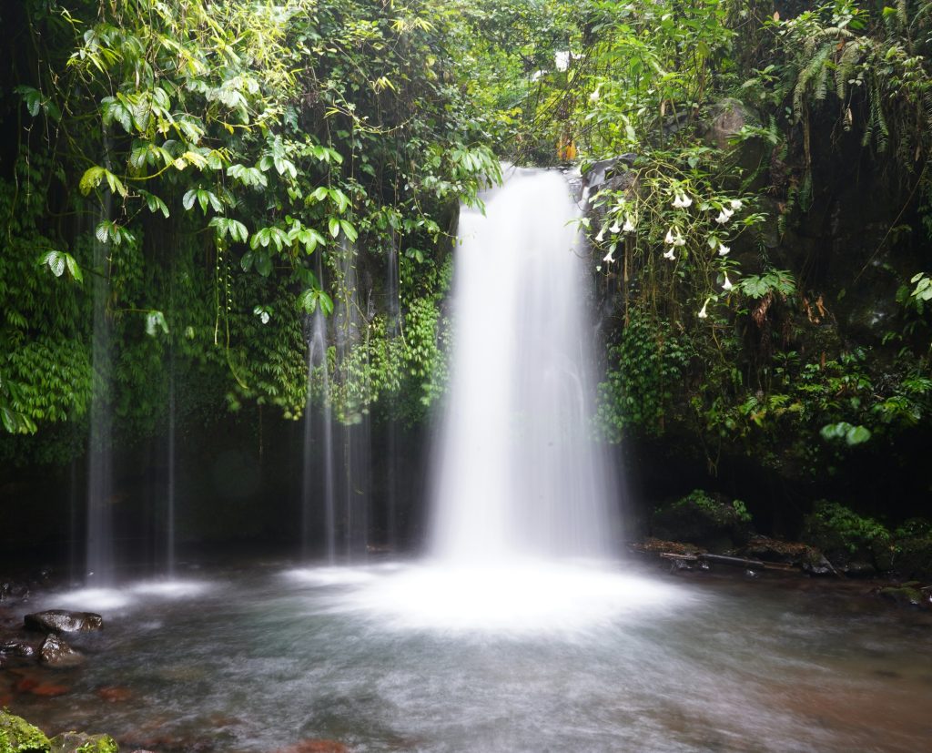 Hidden waterfalls in Bali surrounded by tropical jungle 2025