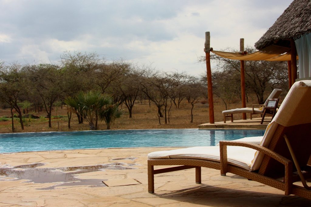 Luxury African safari lodges infinity pool overlooking savanna 2025
